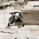 Image for article titled Black Cemetery with 328 Graves Discovered Under Building in Tampa Bay